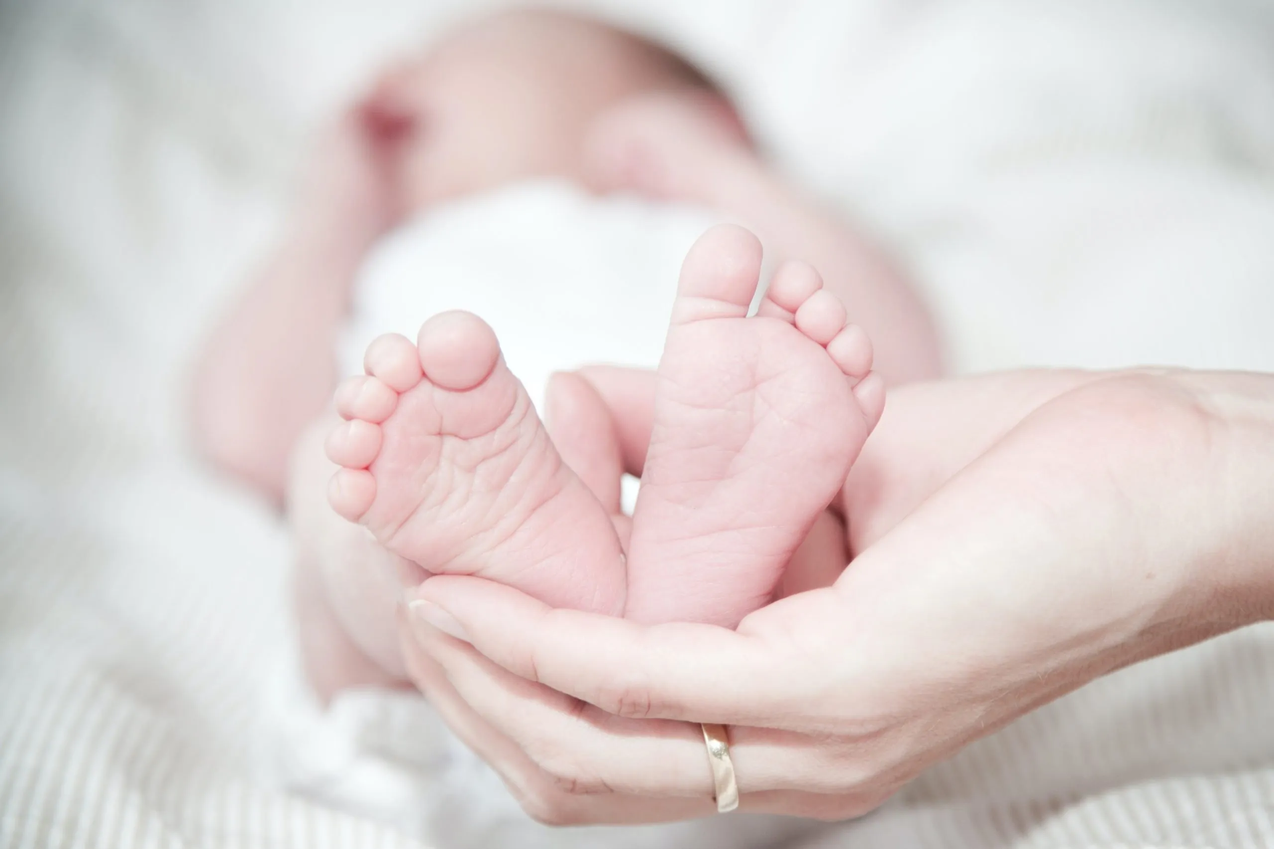 newborn insurance under birthday rule